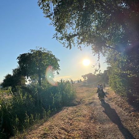 נומאנה Agriturismo Hornos מראה חיצוני תמונה