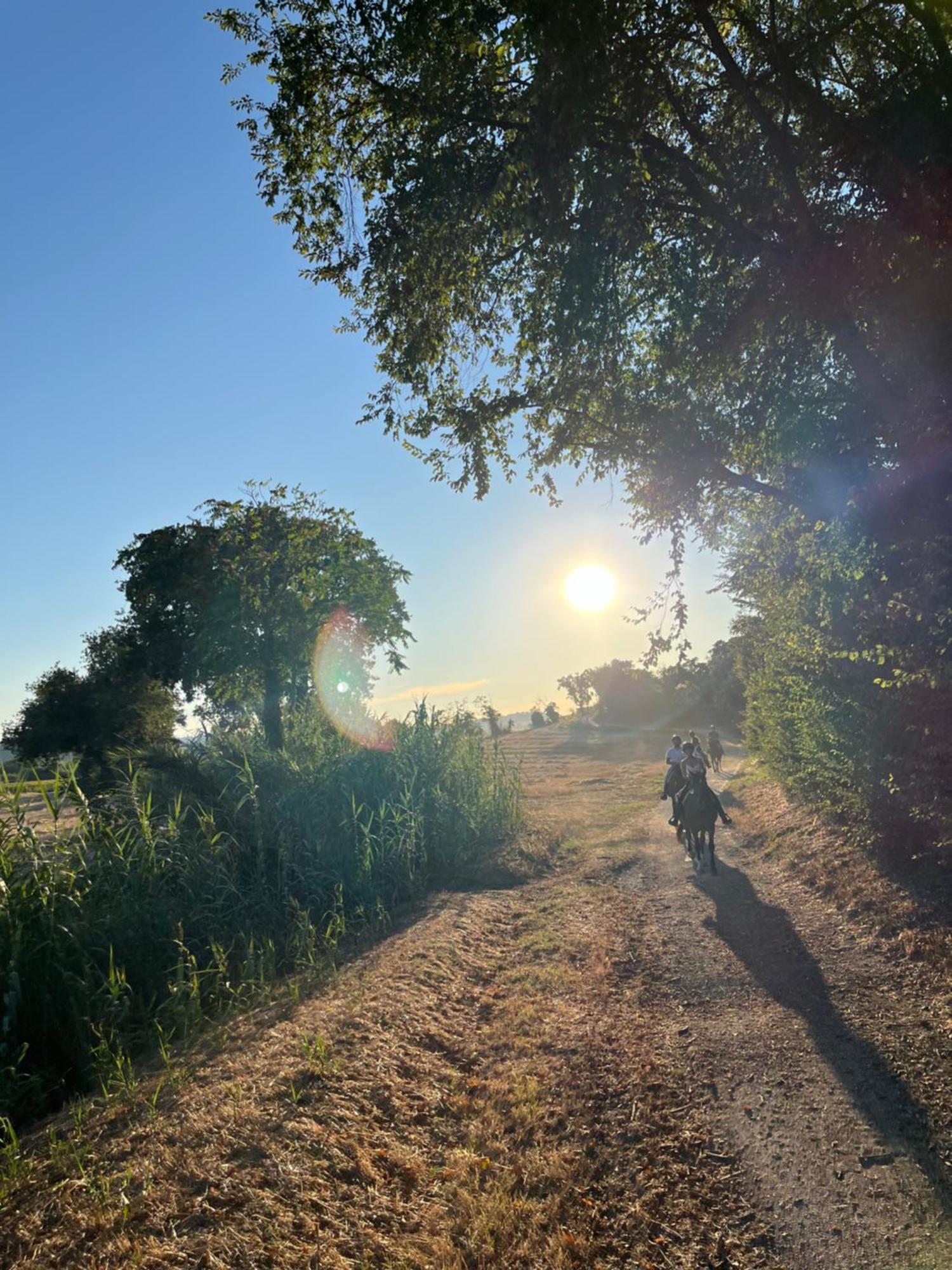 נומאנה Agriturismo Hornos מראה חיצוני תמונה